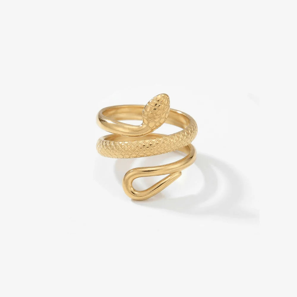 Anillo - Serpiente