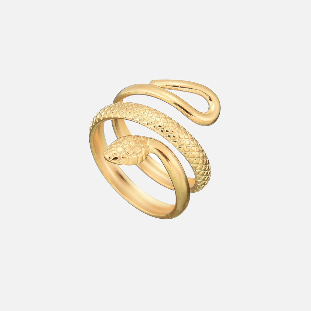 Anillo - Serpiente
